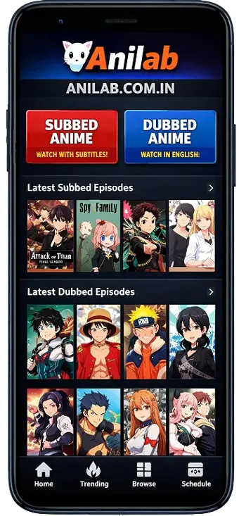 সাবড এবং ডাবড অ্যানিমে সাপোর্ট